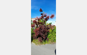 682df49dc3b45_IMG20250521WA0036.jpg