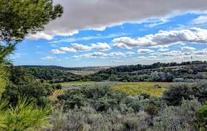 68fbacdf892c7_IMG20251024WA0002.jpg
